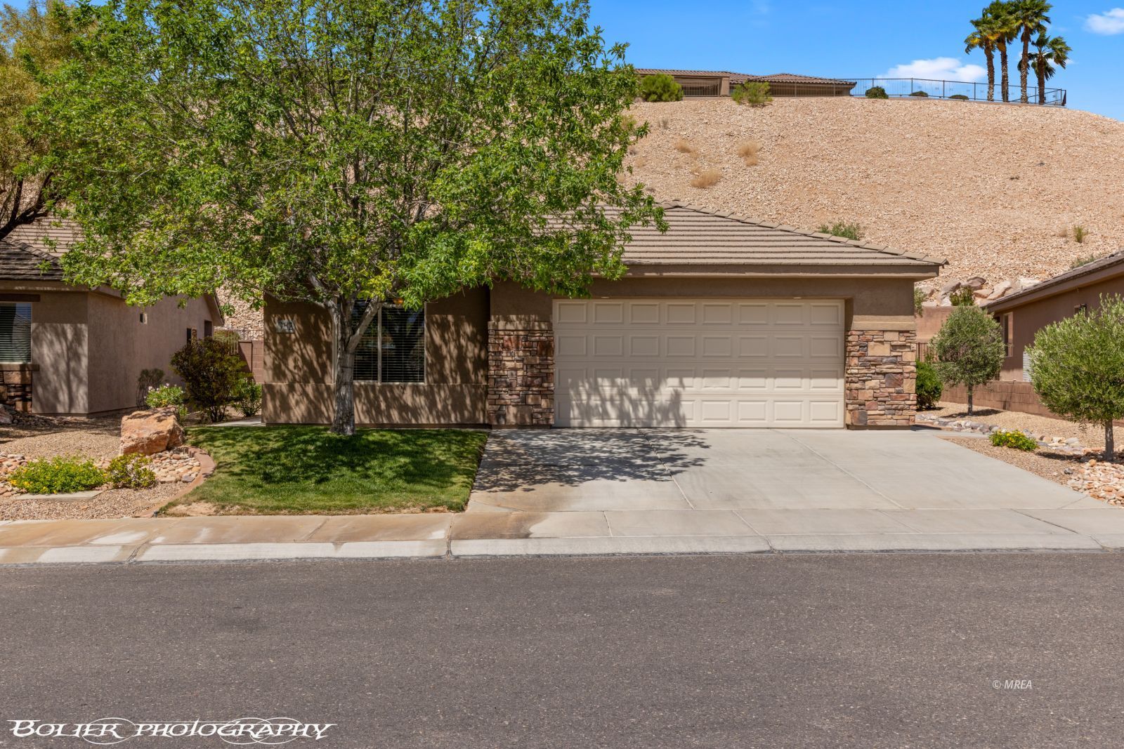 982  Buteo Bend 