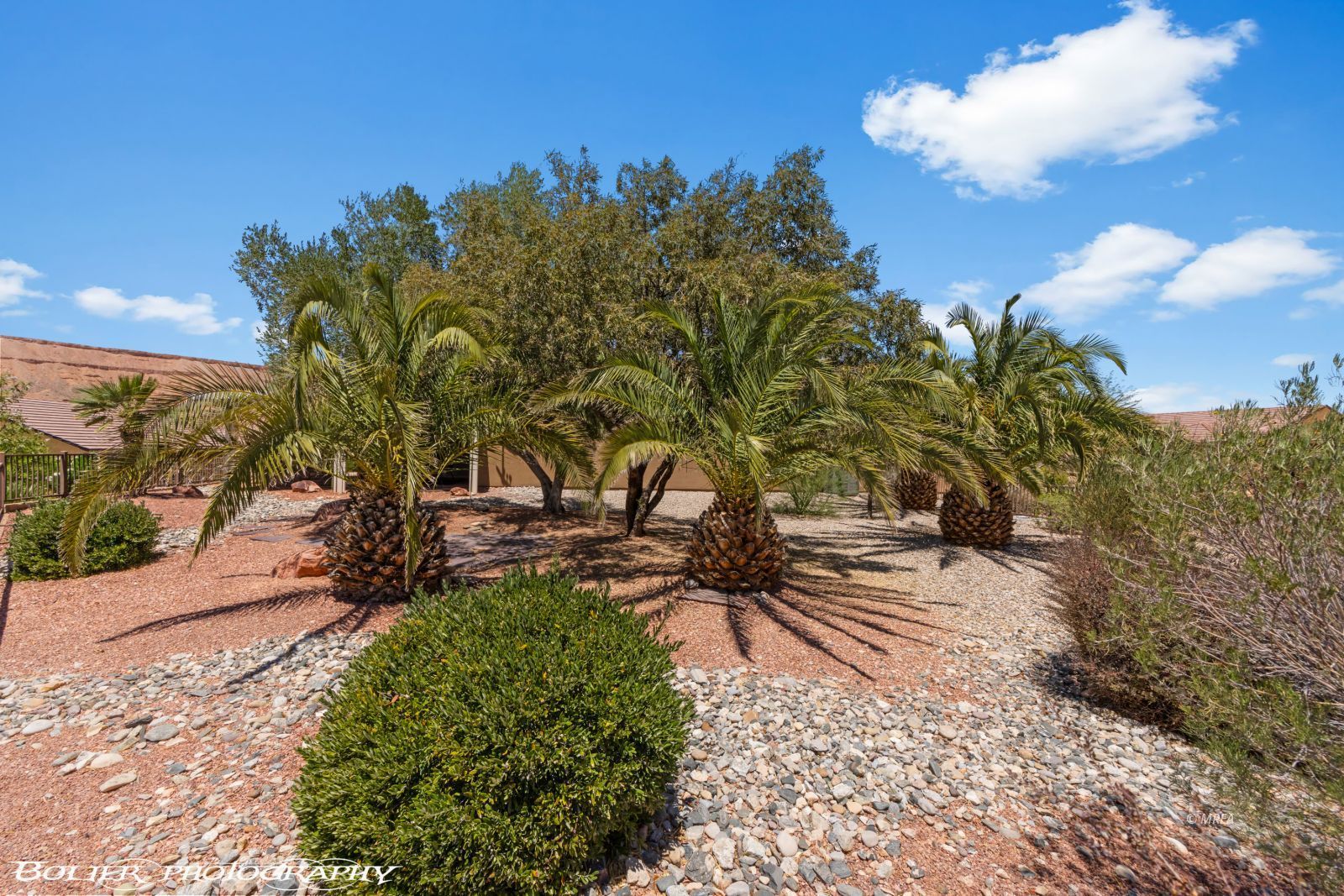 1385  Saddle Horn Ct