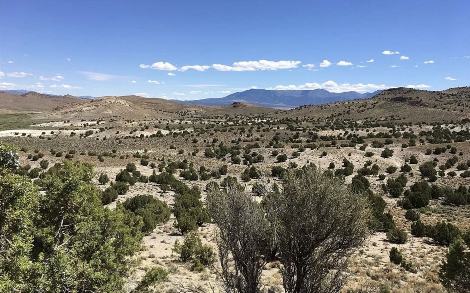   White River Dirt 