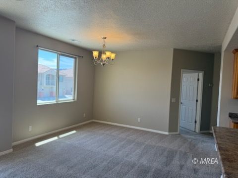 83 B  Desert Willow 