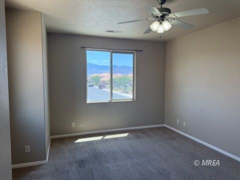 83 B  Desert Willow 