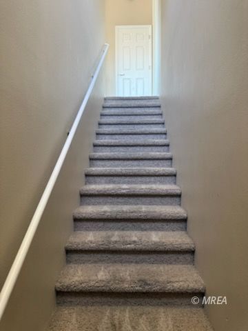 83 B  Desert Willow 
