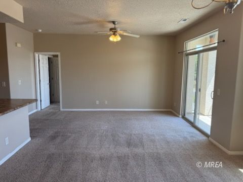 83 B  Desert Willow 