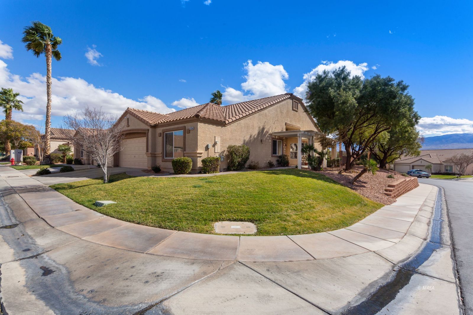 1254  Augusta Hills St