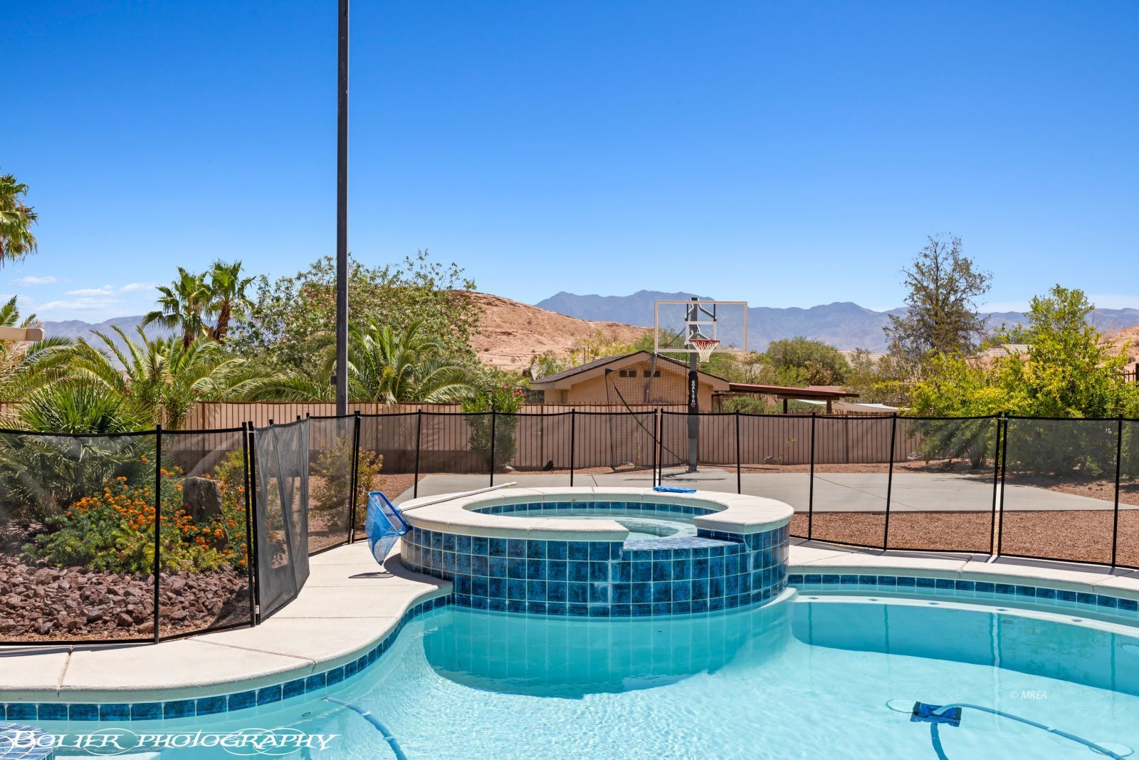 564  Desert Tortoise Way