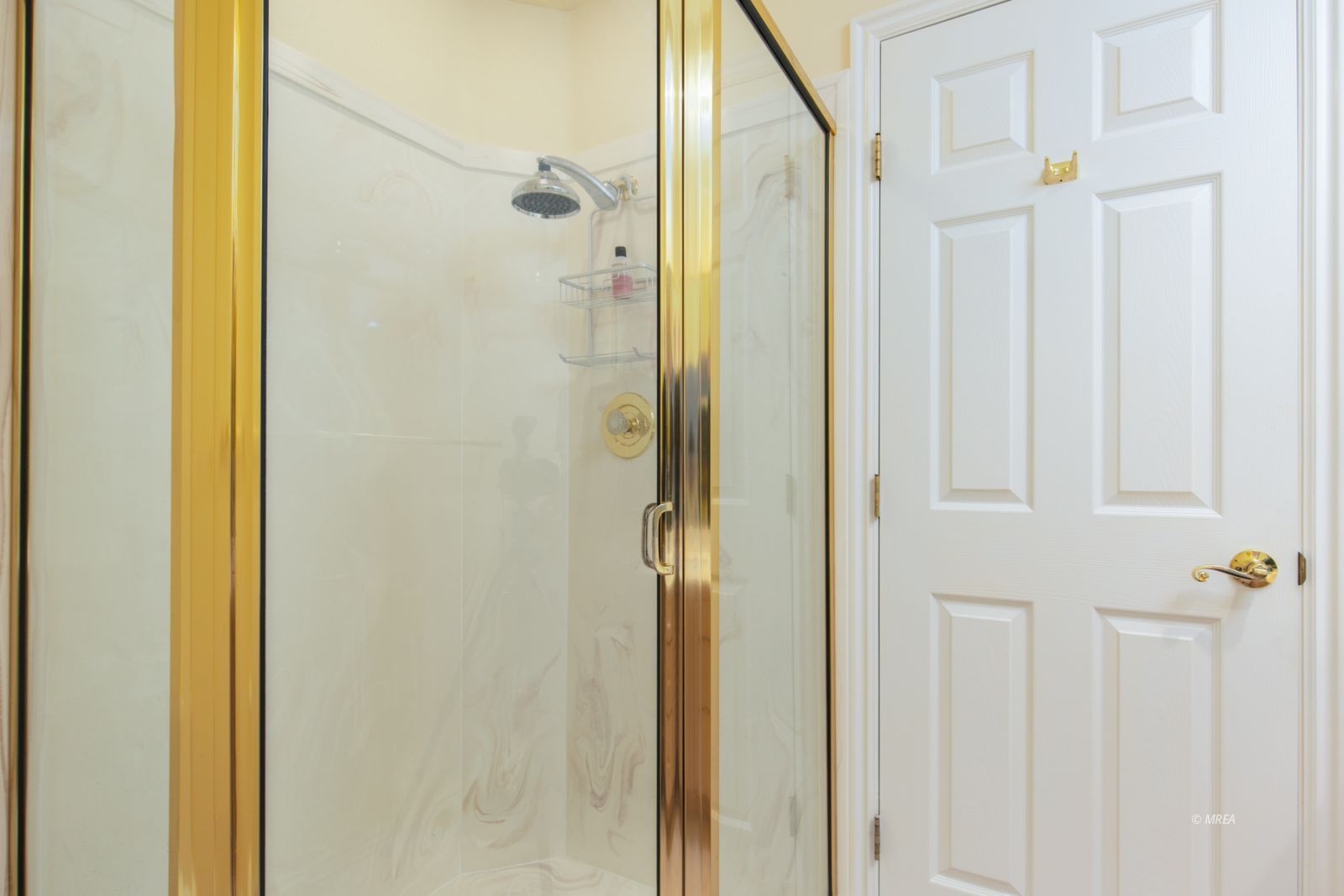 761  Mesa Springs Drive 