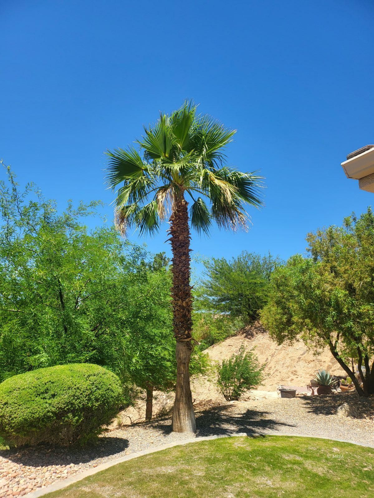 559  Highland View Ct