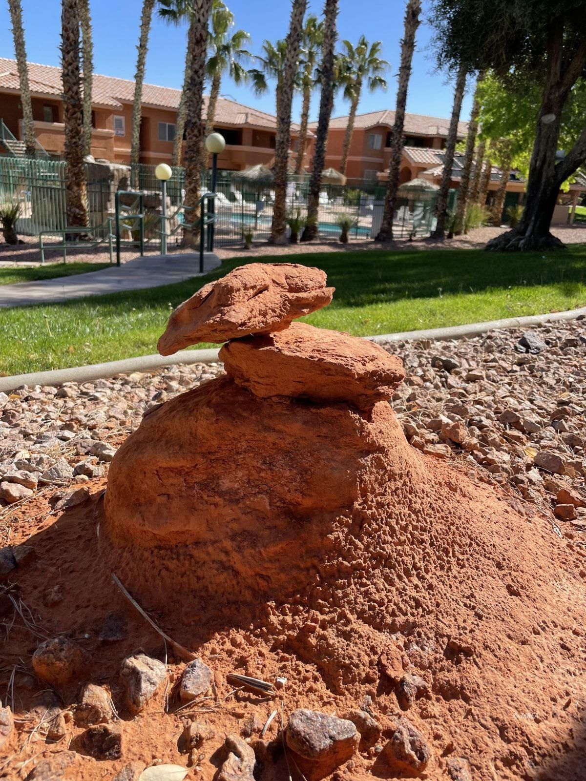 520  Turtleback Rd  #D