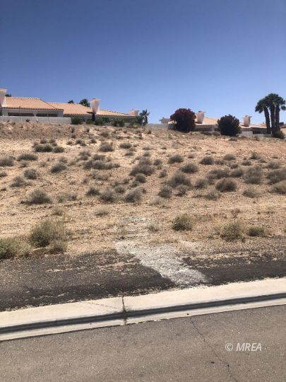 696 Dr ,Mesquite NV 89027