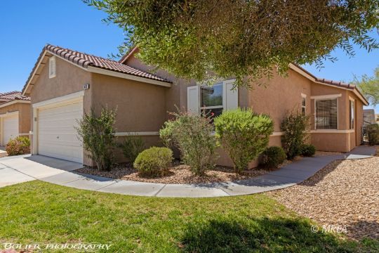 433 Dr ,Mesquite NV 89027