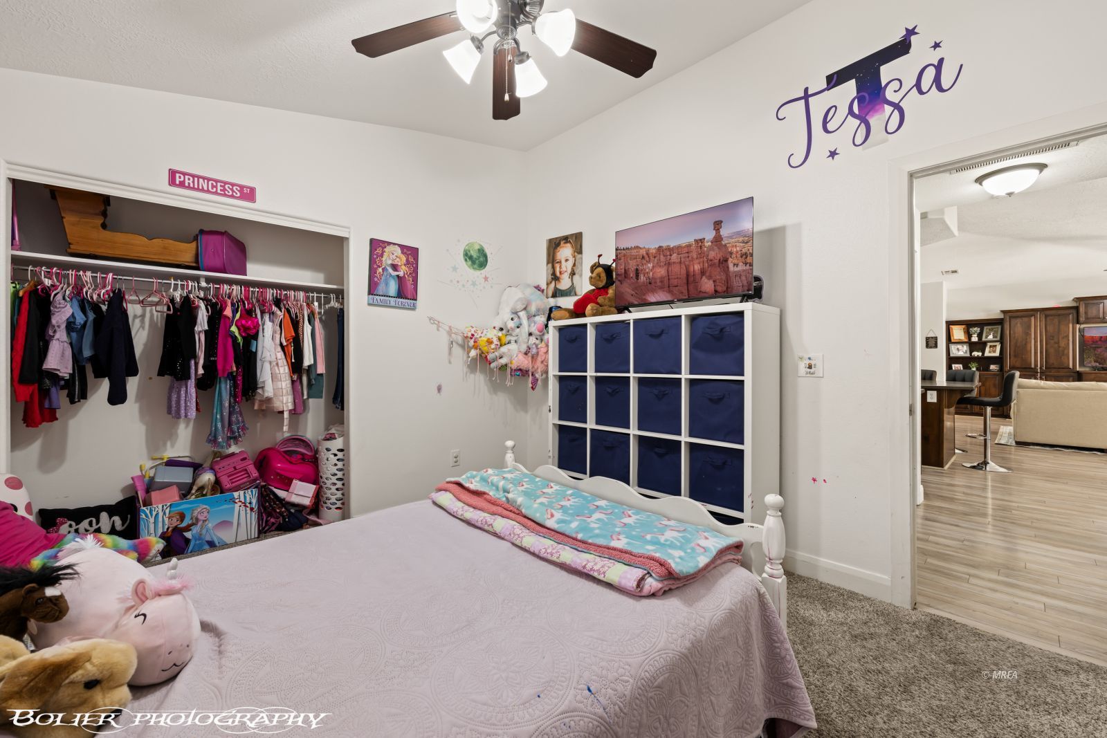 564  Desert Tortoise Way