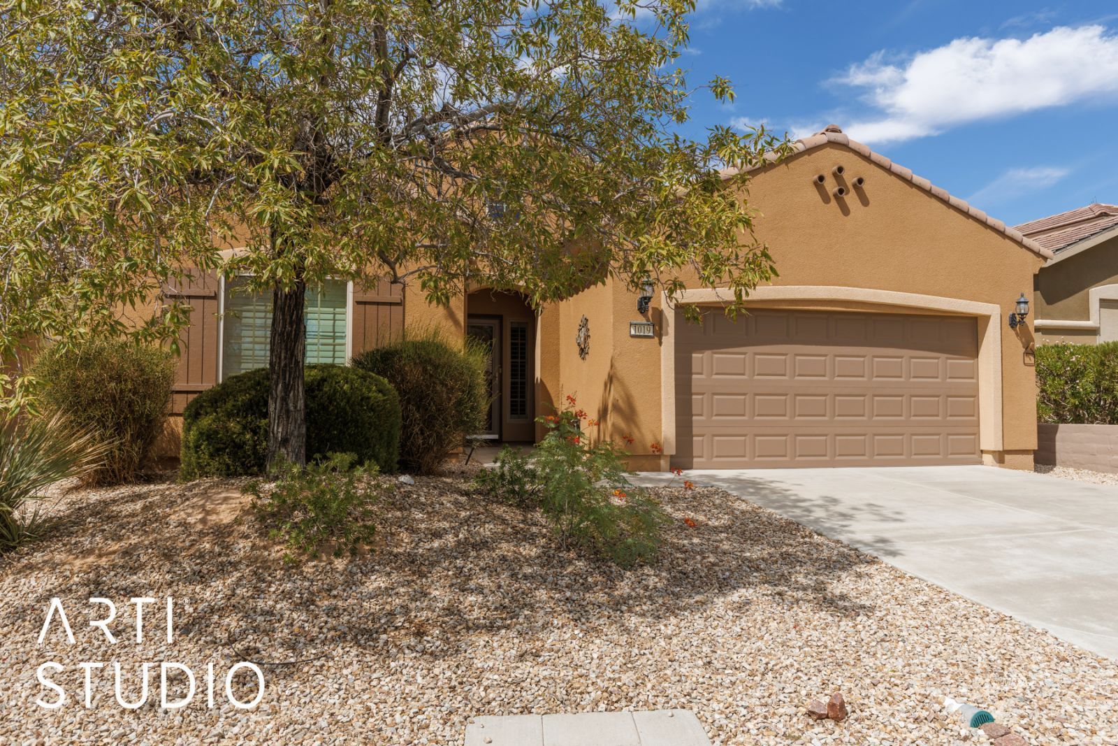 1019  Back Country Trl 