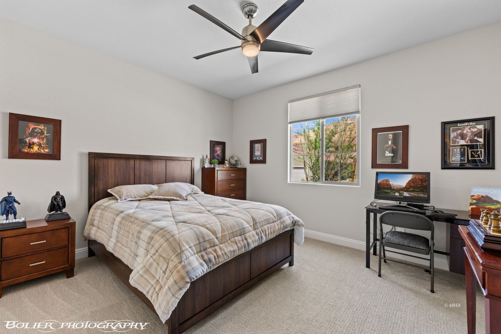 1420  Downy Peak Cyn 