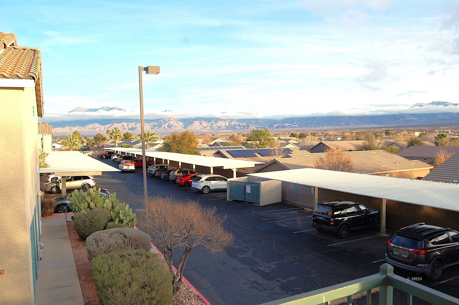 100  Pulsipher  #7228