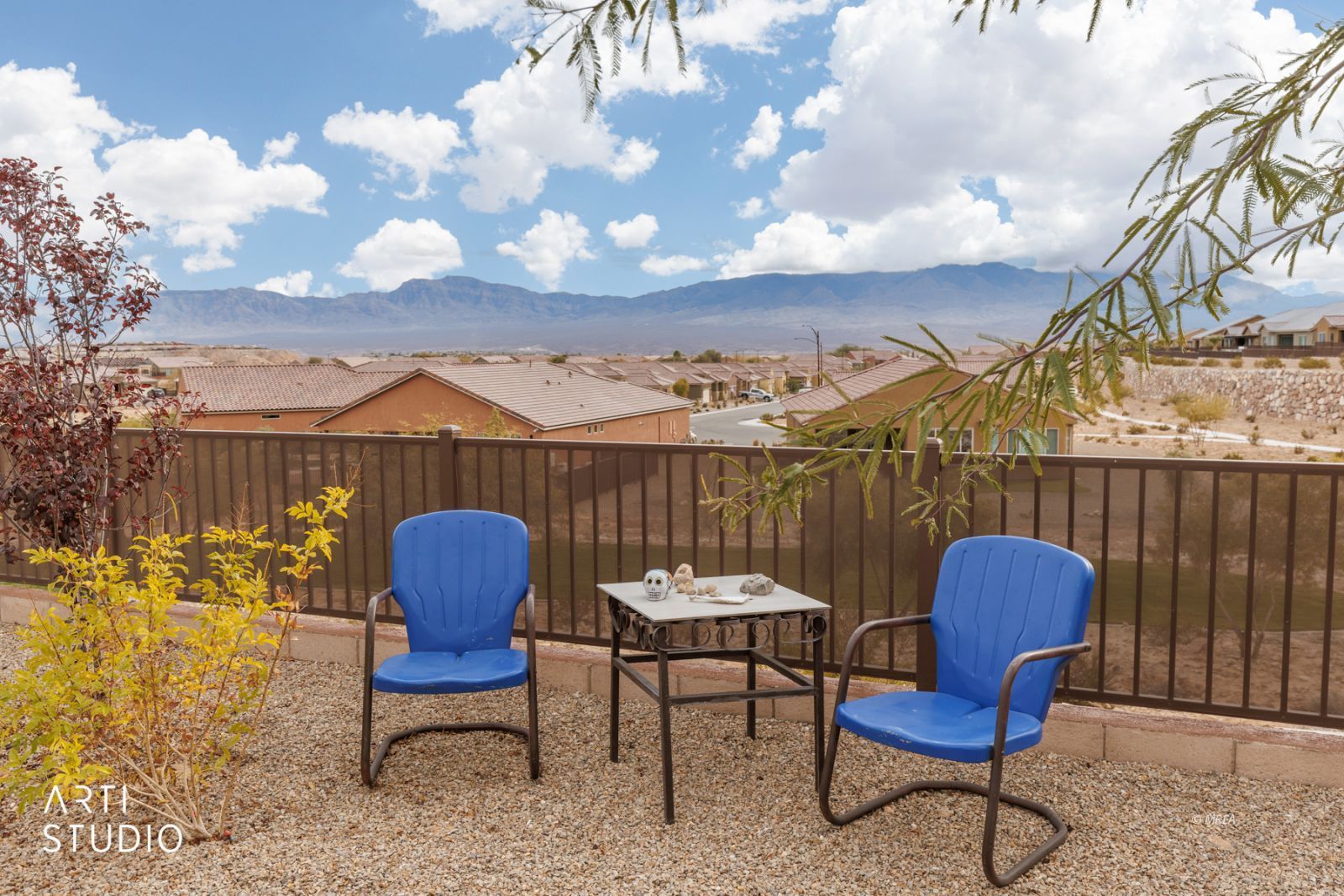 1480  Cactus Flower RDG 