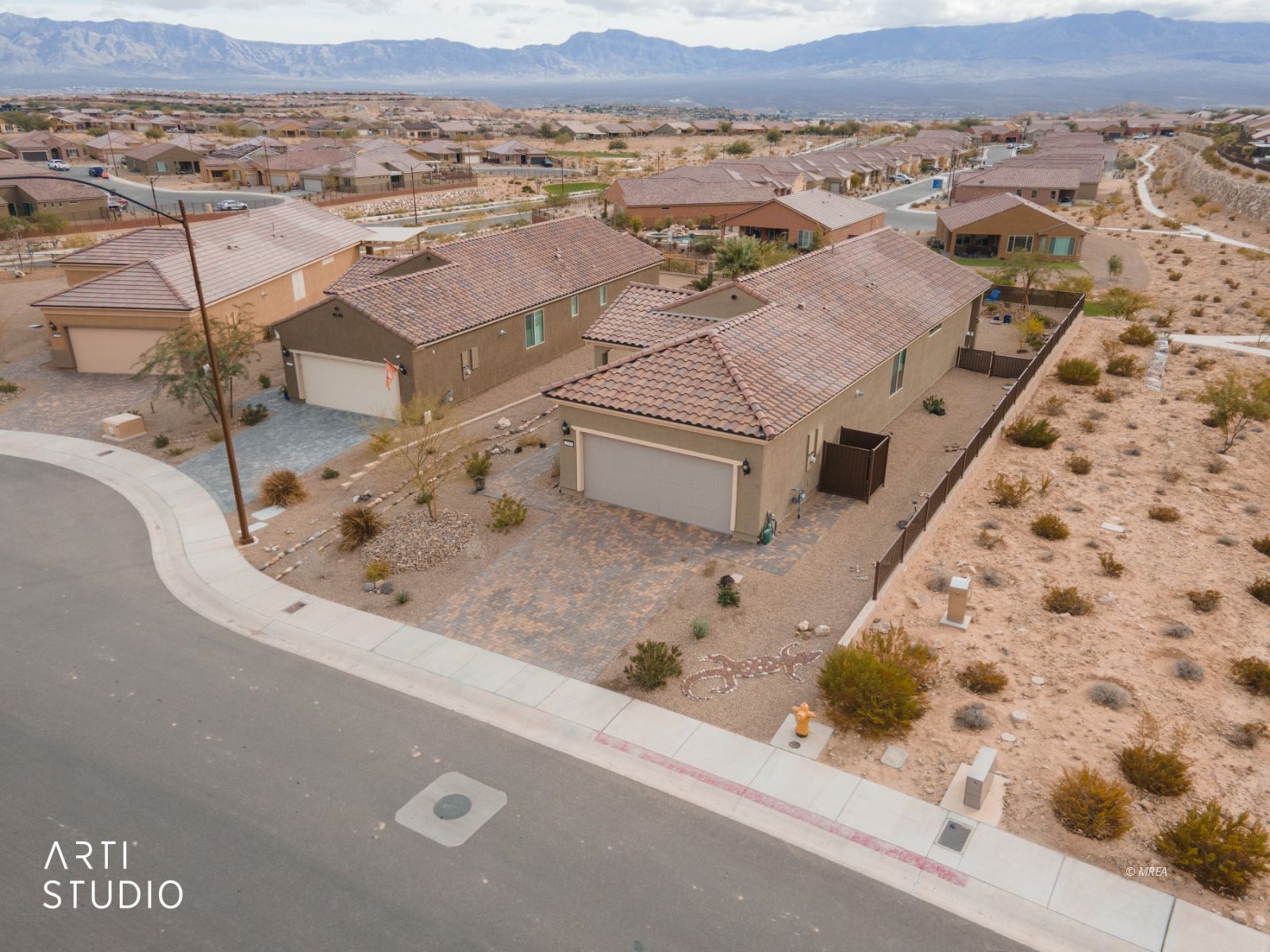 1480  Cactus Flower RDG 