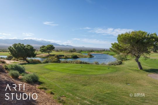 643 Dr ,Mesquite NV 89027