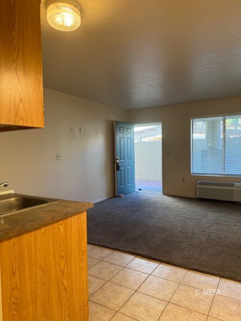 100  Pulsipher Ln #7113