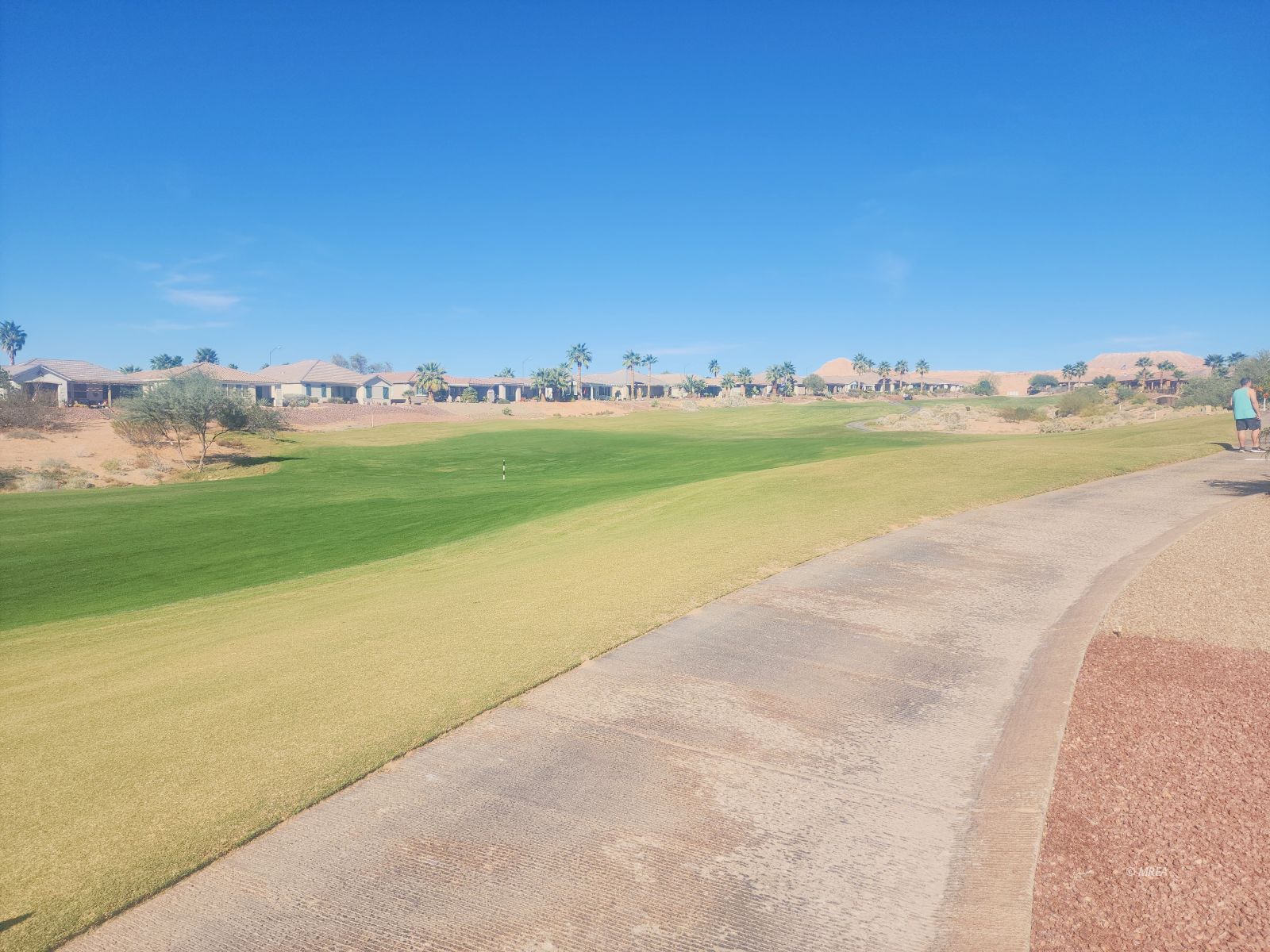 1355  Huntington Heights 