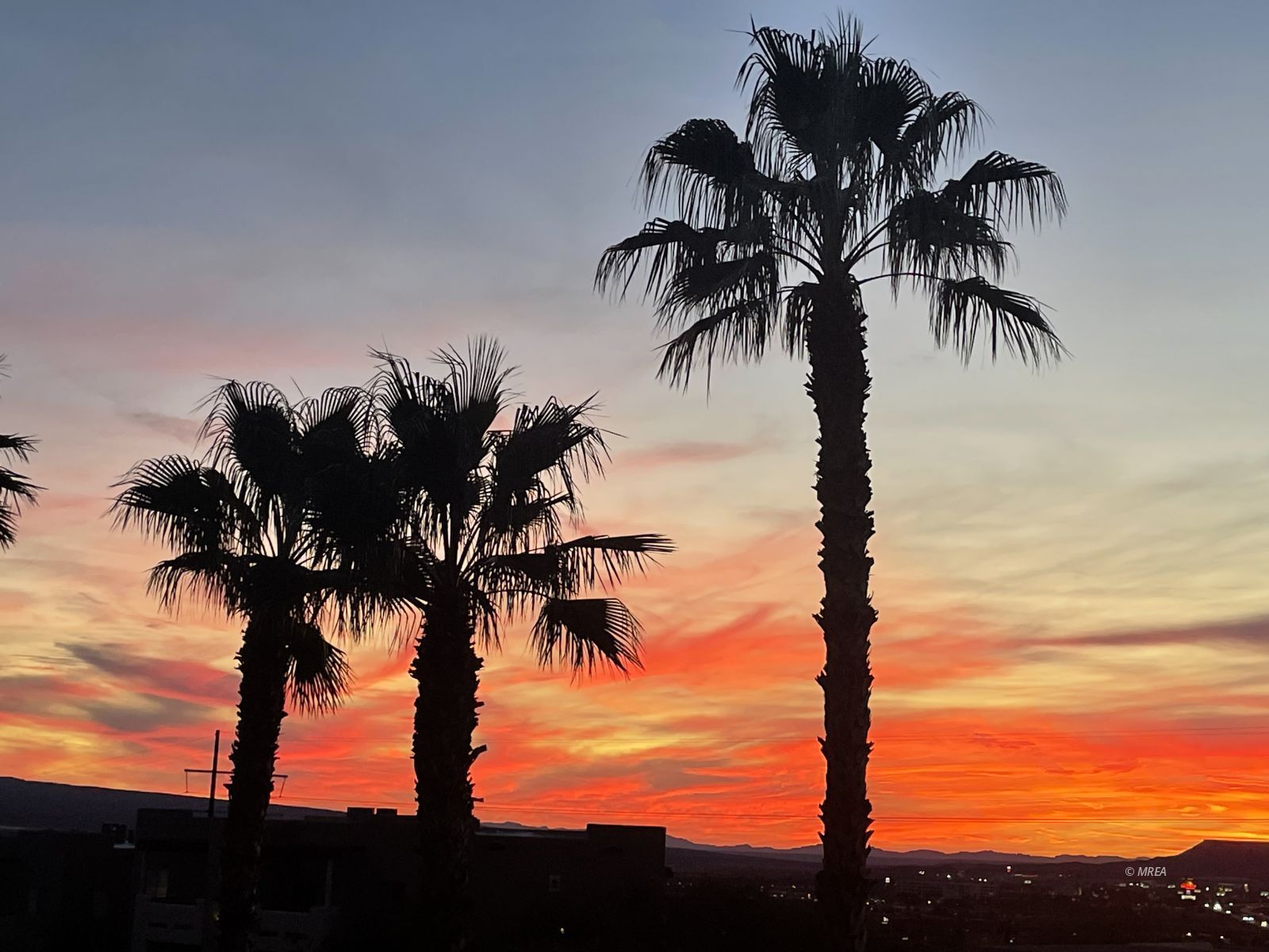 518  Turtleback Rd #C