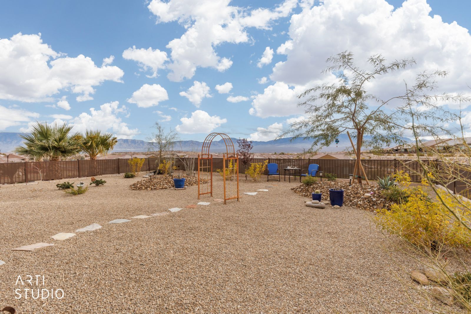 1480  Cactus Flower RDG 