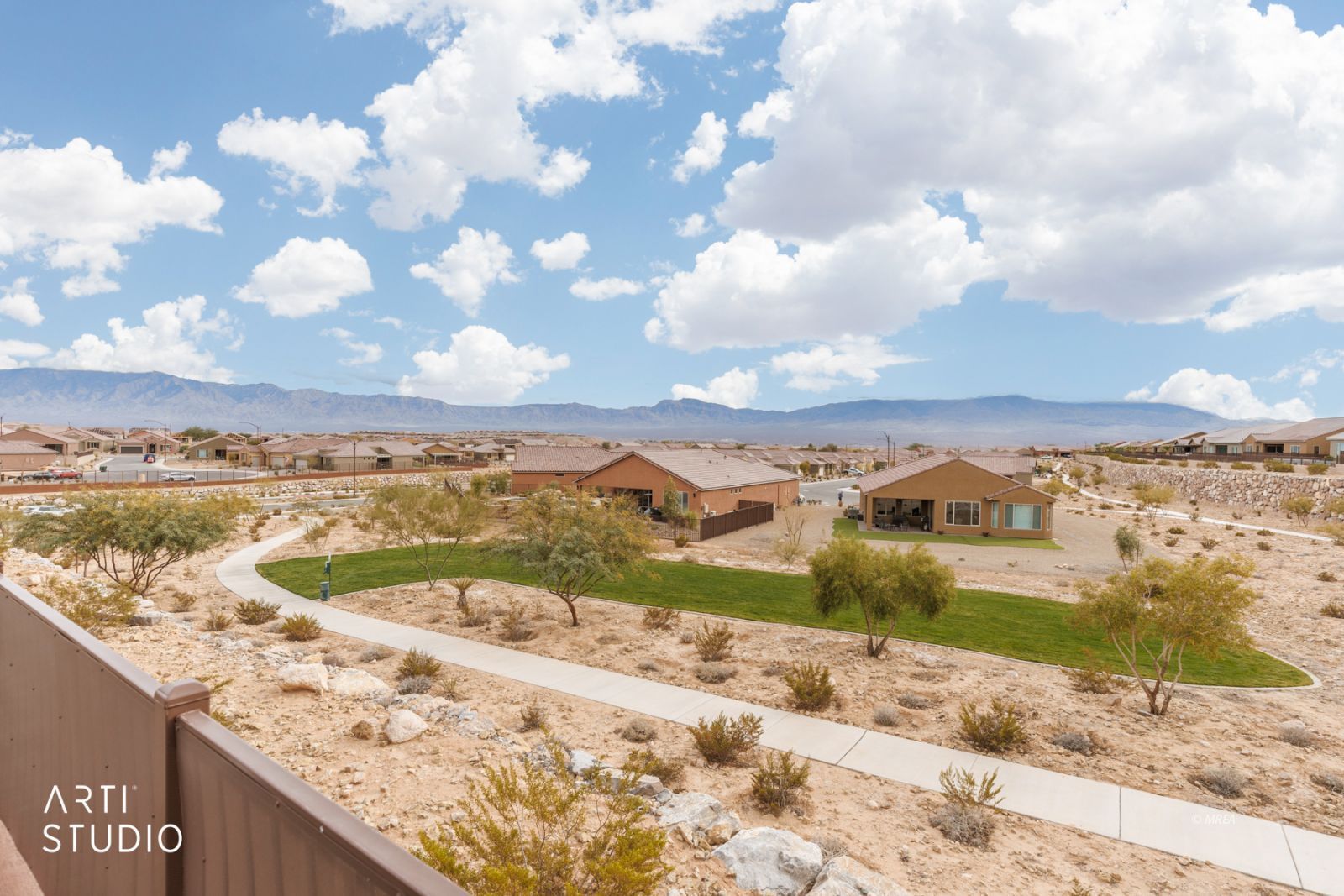 1480  Cactus Flower RDG 