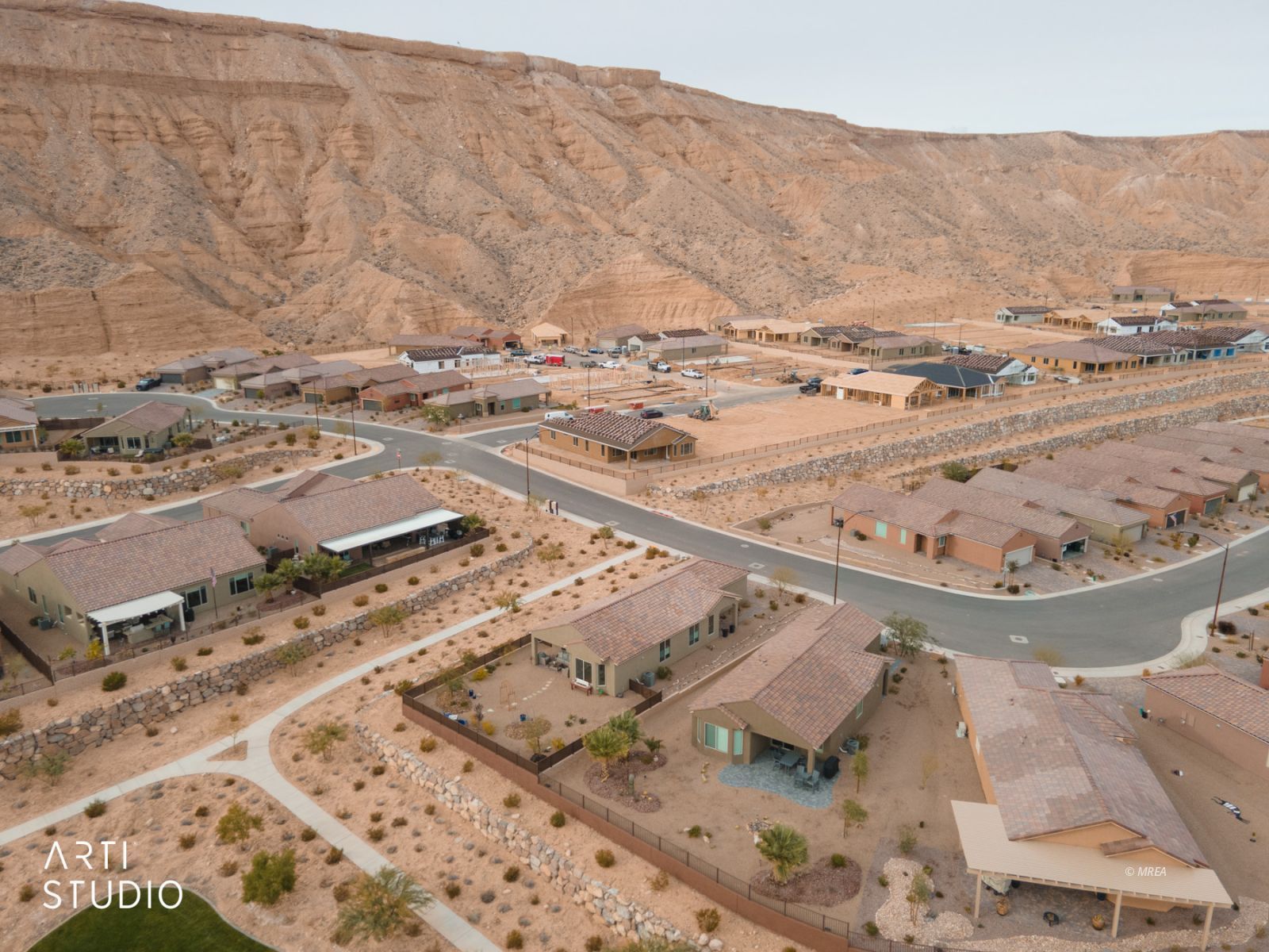 1480  Cactus Flower RDG 