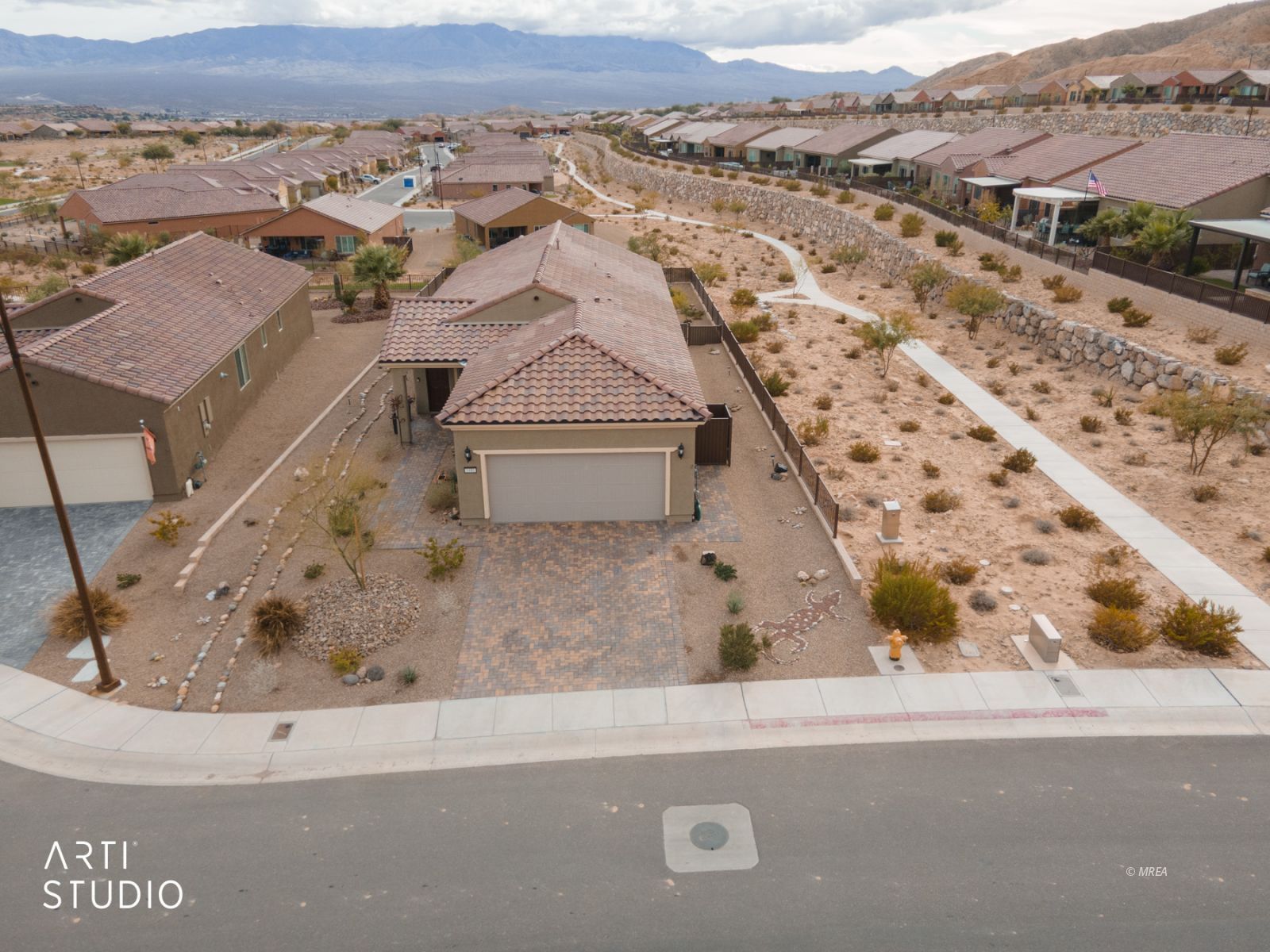 1480  Cactus Flower RDG 