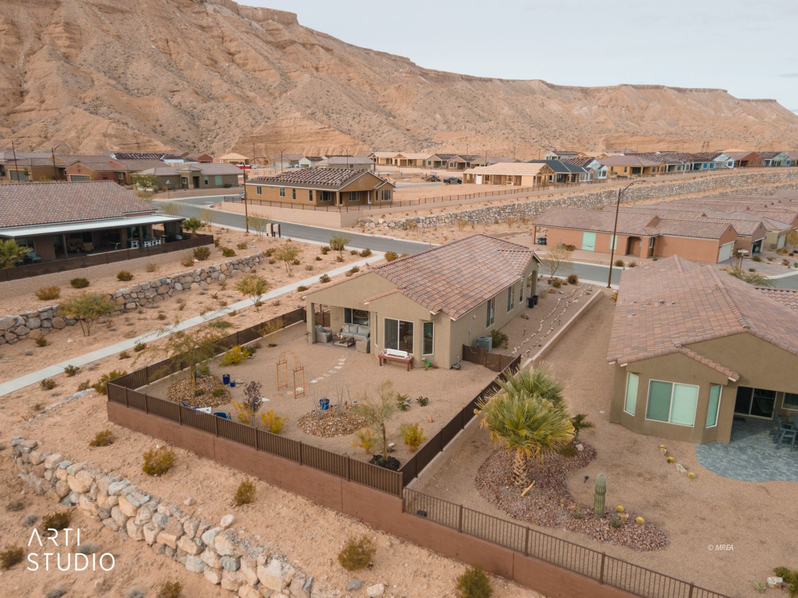 1480  Cactus Flower RDG 