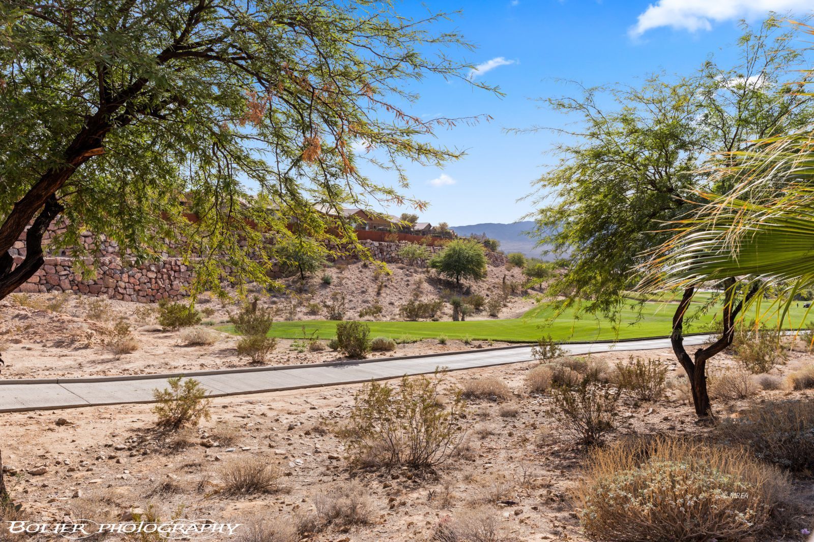 1360  Saddle Horn RDG 