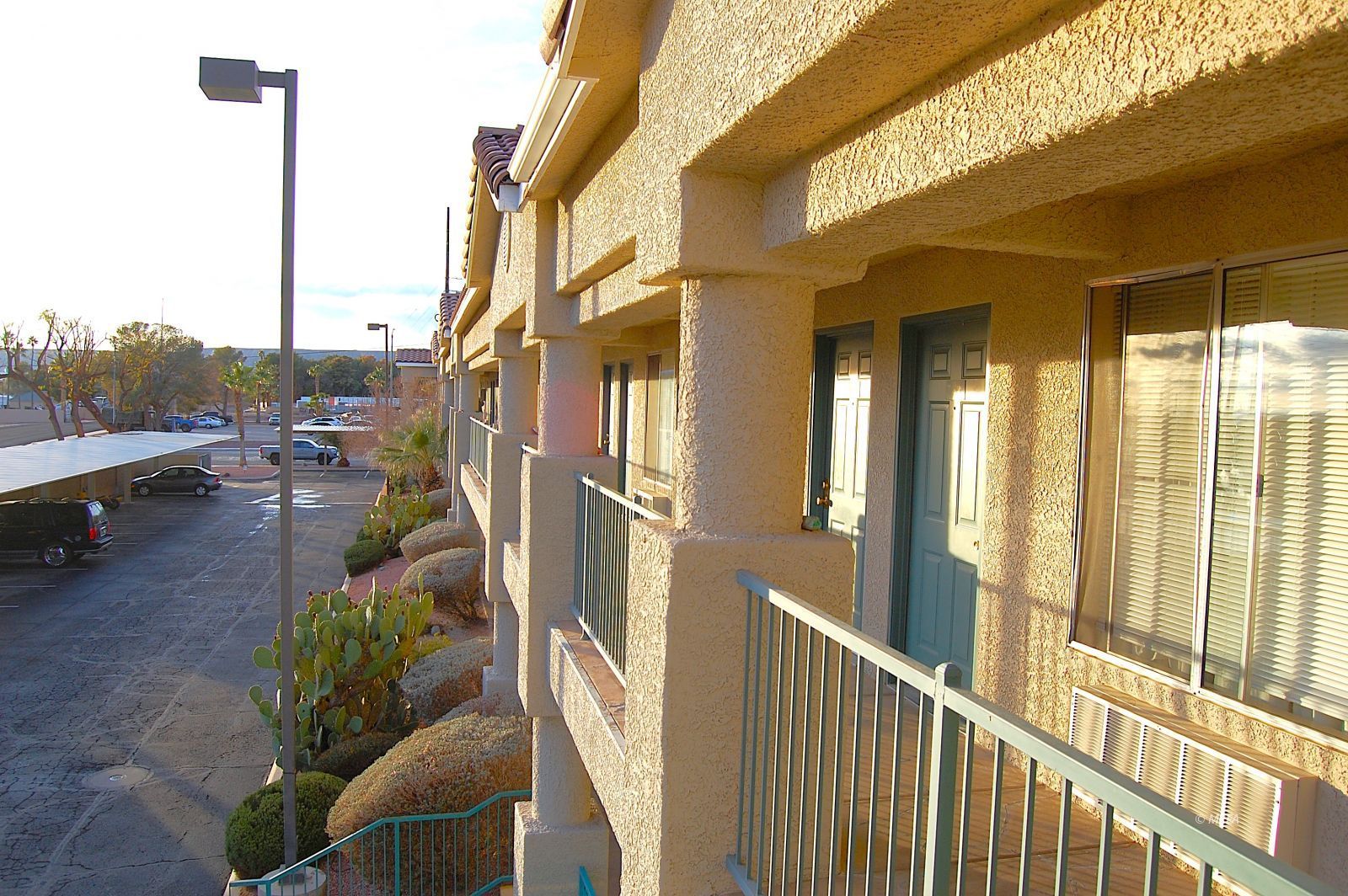 100  Pulsipher  #7228