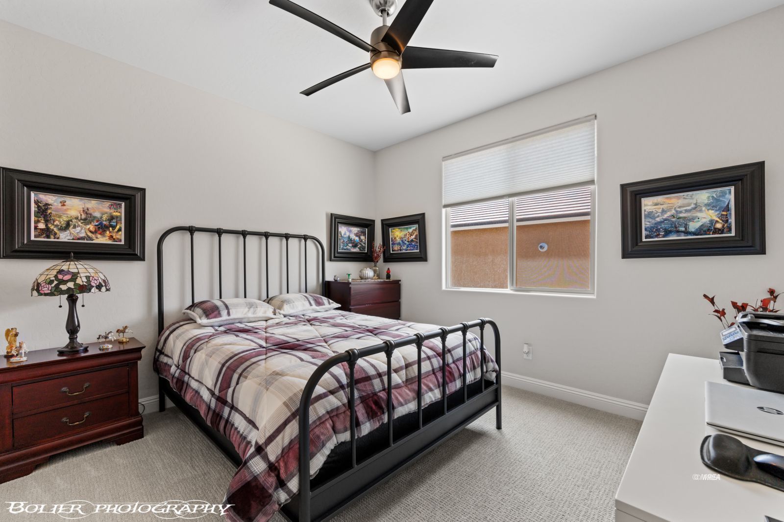 1420  Downy Peak Cyn 