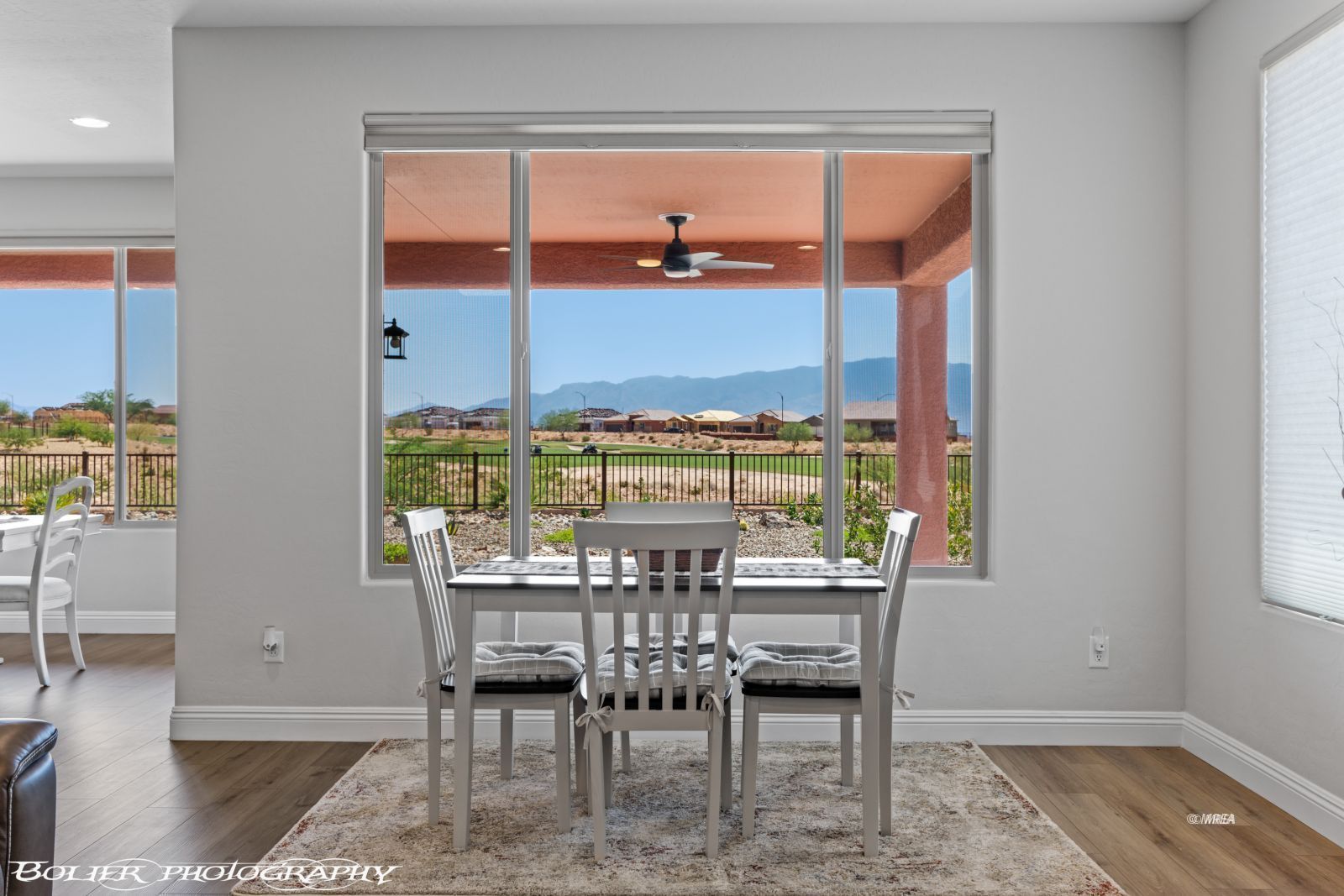 1420  Downy Peak Cyn 