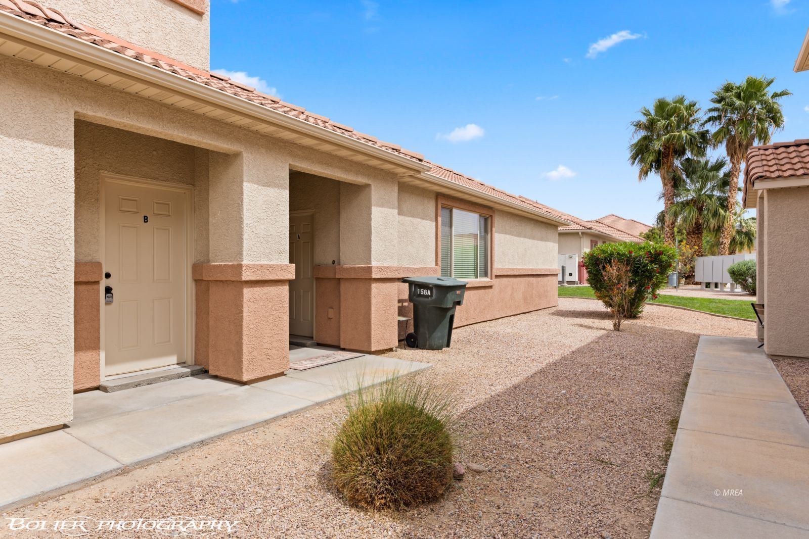 156  Desert Willow  #B