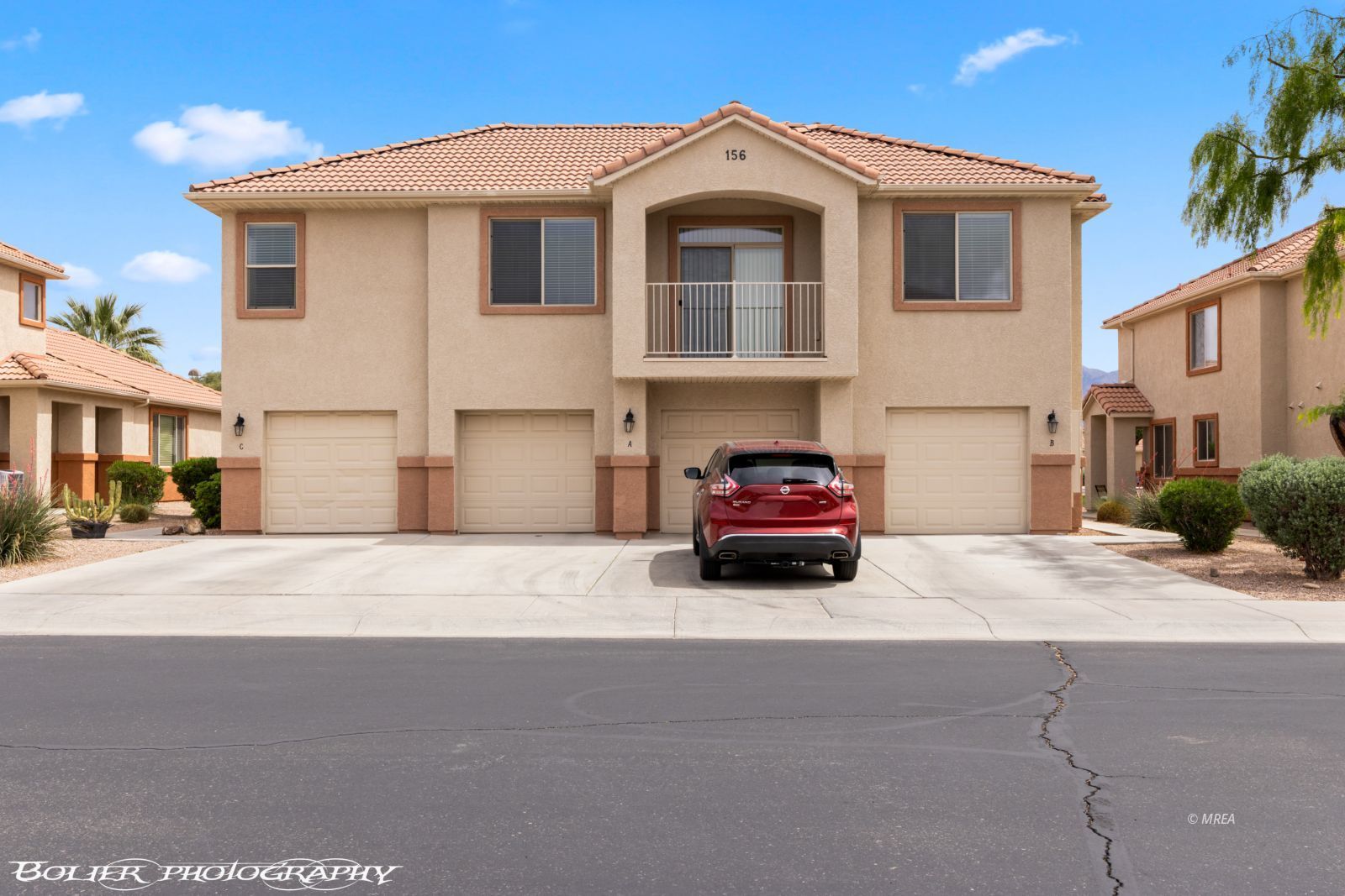 156  Desert Willow  #B