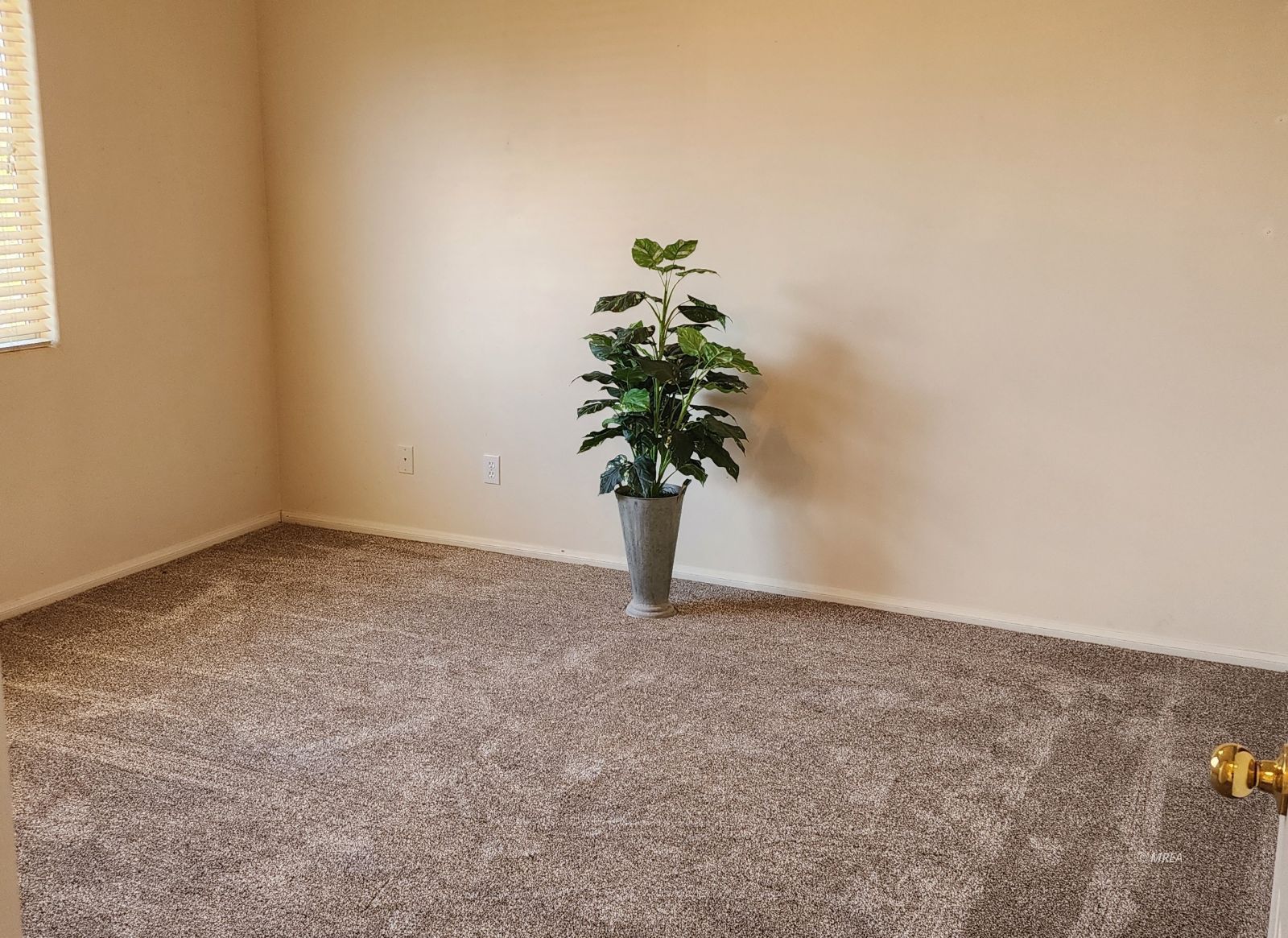 518  Turtleback Rd #C