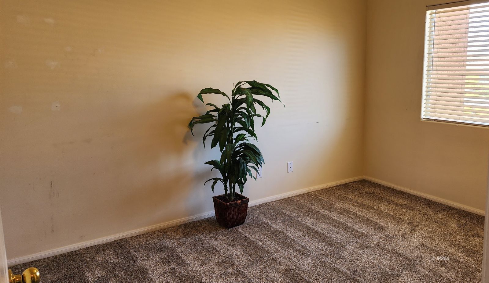 518  Turtleback Rd #C