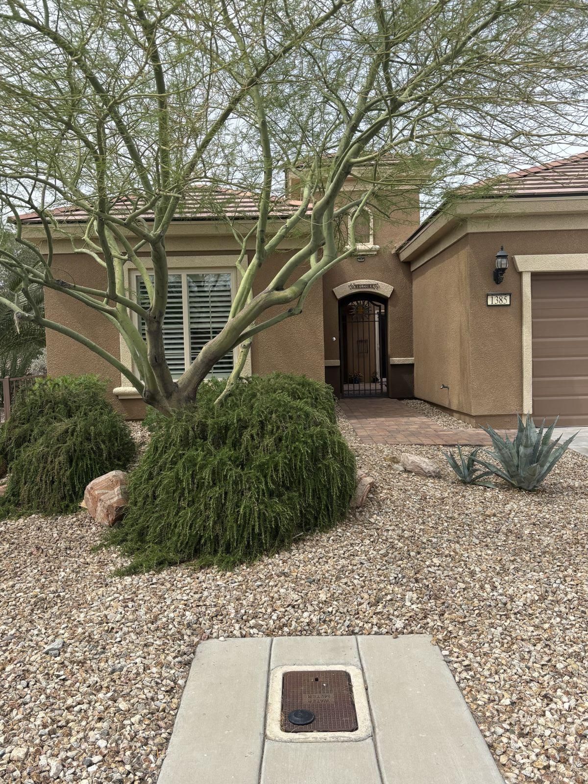 1385  Saddle Horn Ct