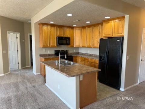 83 B  Desert Willow 