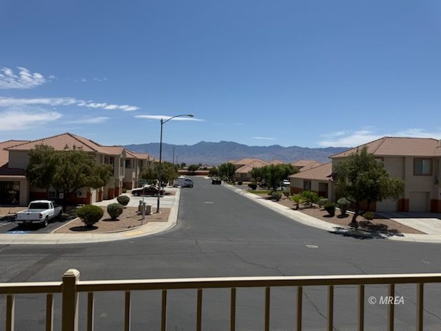 83 B  Desert Willow 