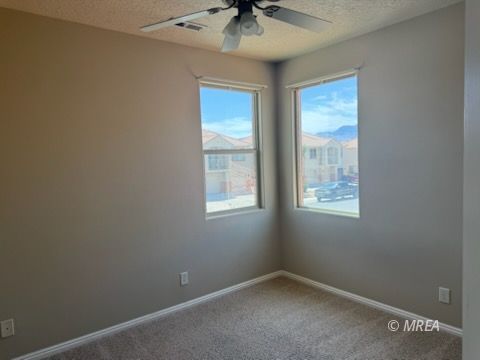 83 B  Desert Willow 