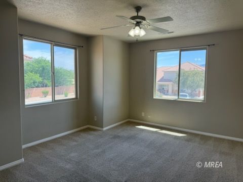 83 B  Desert Willow 