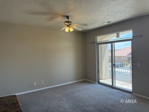 83 B  Desert Willow 