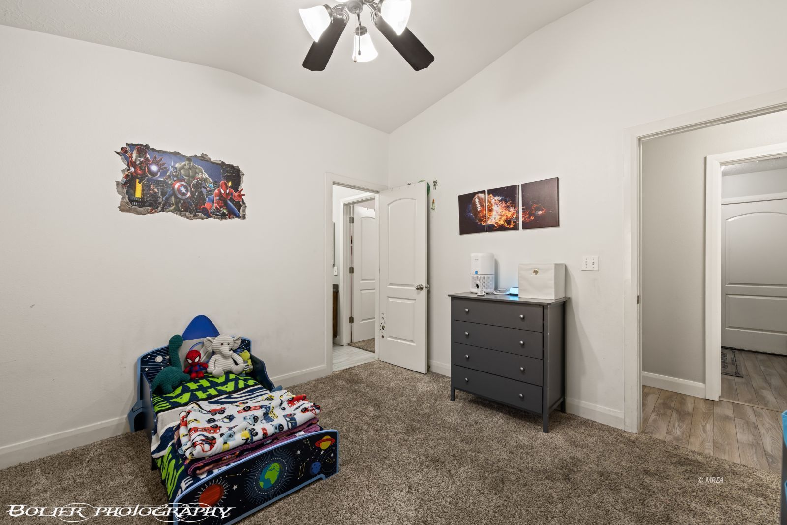 564  Desert Tortoise Way