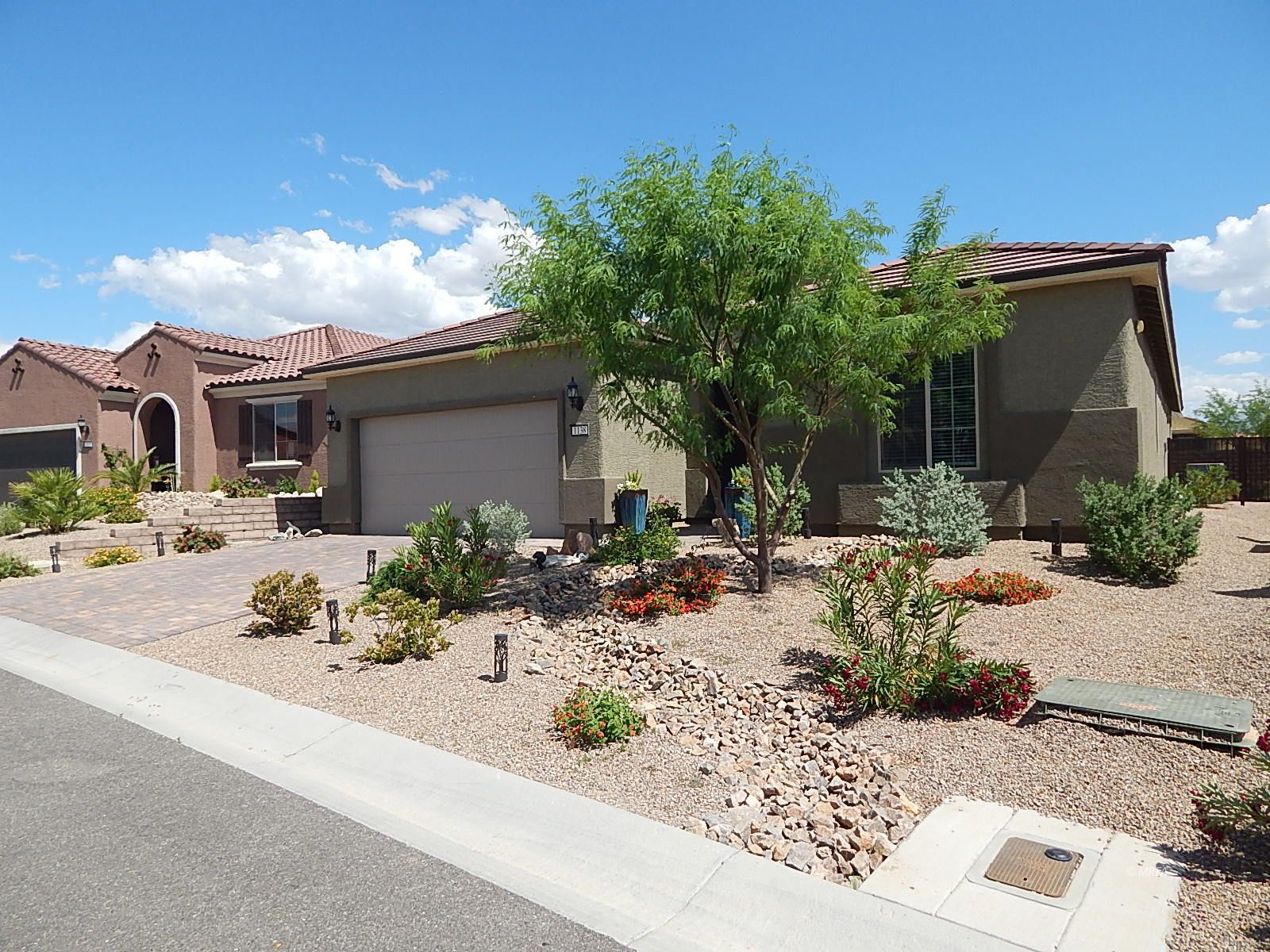 1138 Tortoise Mountain Dr, Mesquite NV 89034