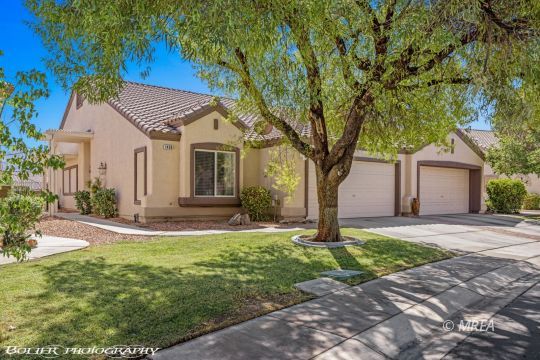 1436 Dr ,Mesquite NV 89027